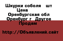 Шкурки соболя 4 шт › Цена ­ 3 000 - Оренбургская обл., Оренбург г. Другое » Продам   